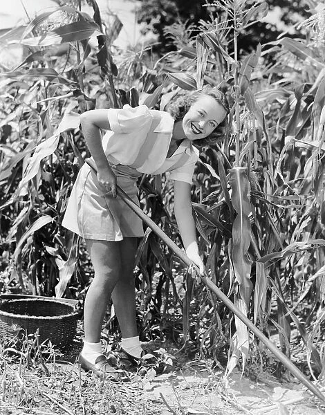 Woman hoeing in field of corn