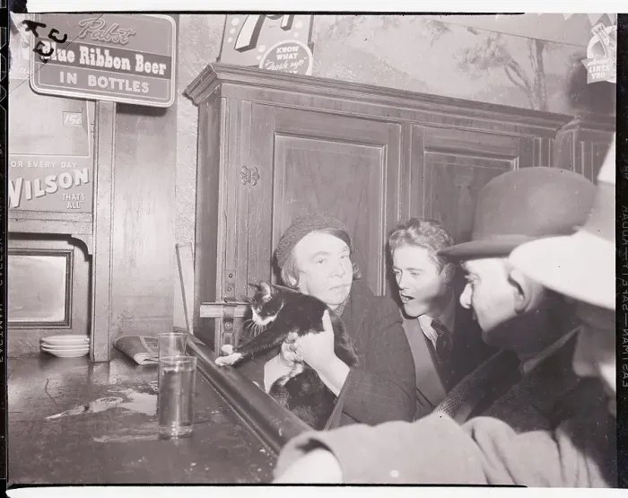 Framed Print : Woman Holding Cat Inside Bar Framed Print : Woman Holding Cat Inside Bar