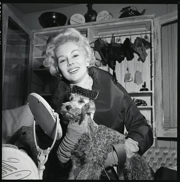 Framed Print : Woman Holding Dog Wearing Designer Suit