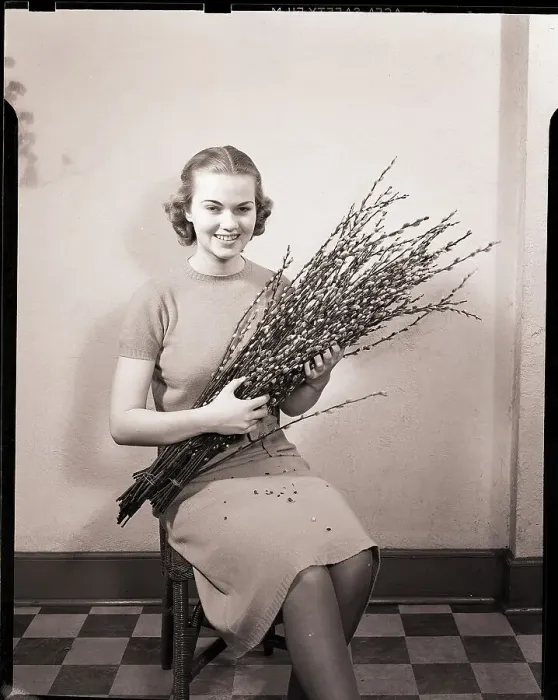 Framed Print : Woman Holding Pussy Willows Framed Print : Woman Holding Pussy Willows