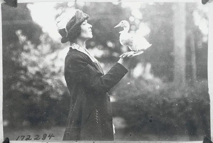 Framed Print : Woman Holding Her Trained Duck Framed Print : Woman Holding Her Trained Duck