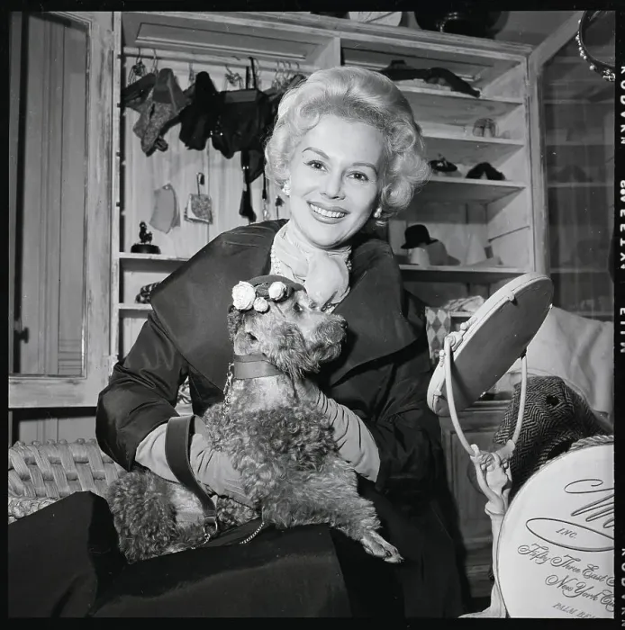 Framed Print : Woman Holds Dog In Designer Outfit Framed Print : Woman Holds Dog In Designer Outfit