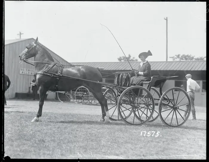 Framed Print : Woman in Horsedriven Buggy