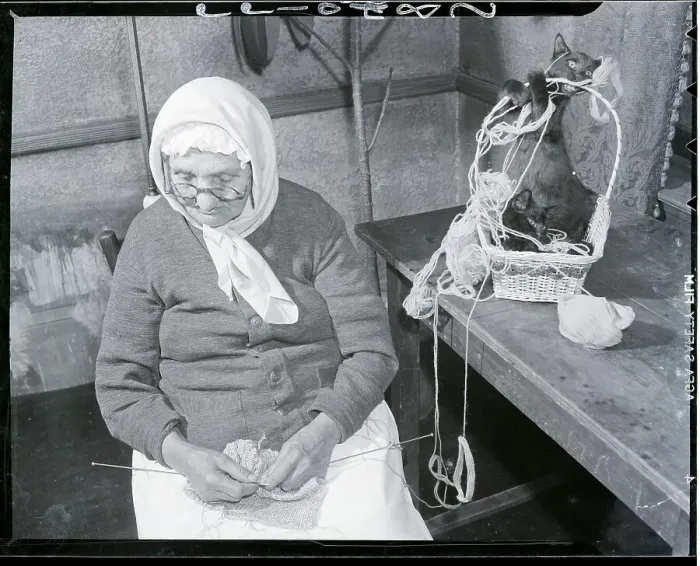 Framed Print : Woman Knitting With Cat Framed Print : Woman Knitting With Cat