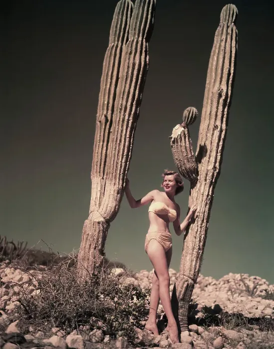 Framed Print : Woman Posing with Cactuses Framed Print : Woman Posing with Cactuses
