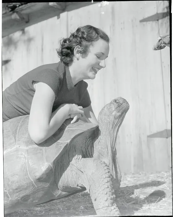 Framed Print : Woman Posing with Giant Tortoise Framed Print : Woman Posing with Giant Tortoise