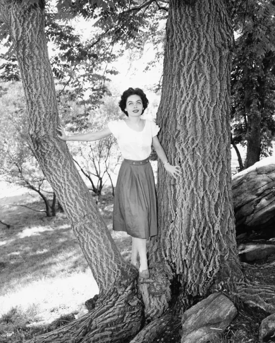 Framed Print : Woman posing between two tree trunks, (B&W), portrait Framed Print : Woman posing between two tree trunks, (B&W), portrait