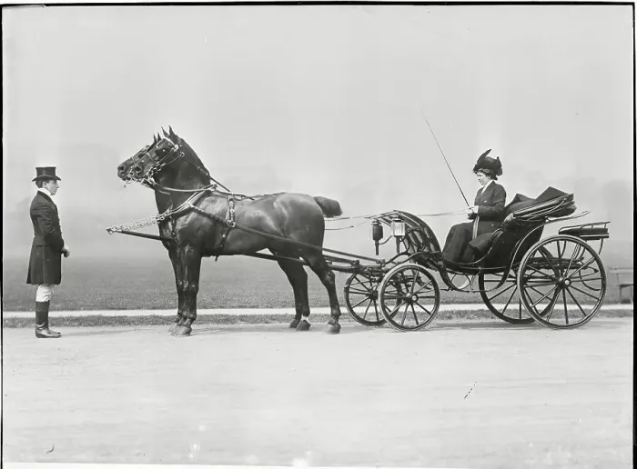 Framed Print : Woman Riding in Horse Drawn Carriage Framed Print : Woman Riding in Horse Drawn Carriage