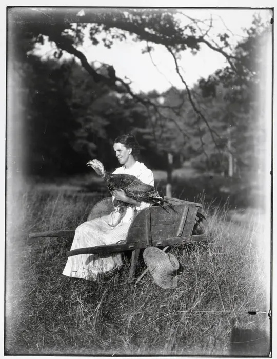 Framed Print : Woman Seated On Wheelbarrow;Turkey In La Framed Print : Woman Seated On Wheelbarrow;Turkey In La