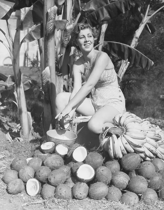 Framed Print : Woman Shredding Coconut with Traditional Shredder Framed Print : Woman Shredding Coconut with Traditional Shredder