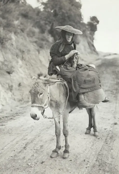 Framed Print : Woman Sitting on Donkey Framed Print : Woman Sitting on Donkey