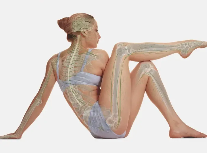 Framed Print : Woman sitting on the floor supported by a hand, one leg resting up on her other knee, illustration overlay showing skeleton and nervous system Framed Print : Woman sitting on the floor supported by a hand, one leg resting up on her other knee, illustration overlay showing skeleton and nervous system
