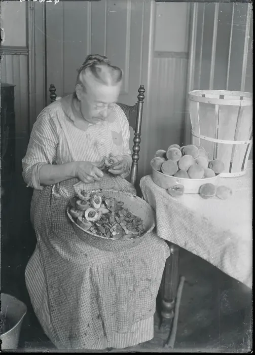 Framed Print : Woman Slicing Peaches Framed Print : Woman Slicing Peaches