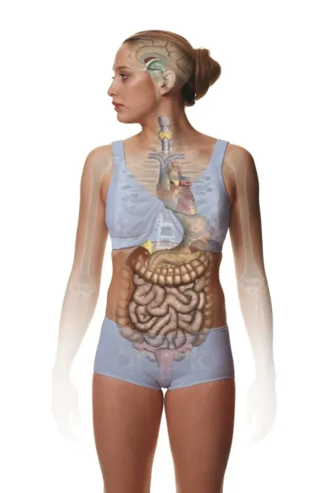 Framed Print : Woman standing, body facing forward head turned to one side, illustration overlay showing skeleton and inner organs