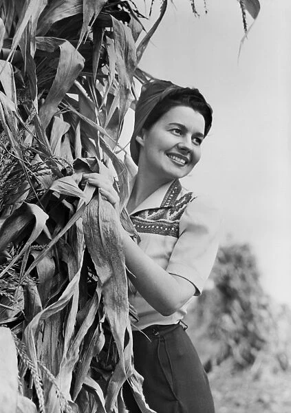 Woman standing behind tree, smiling