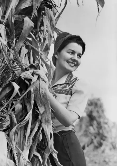 Framed Print : Woman standing behind tree, smiling Framed Print : Woman standing behind tree, smiling