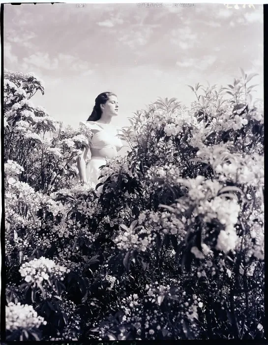 Framed Print : Woman Stands in the Mountain Laurel Framed Print : Woman Stands in the Mountain Laurel