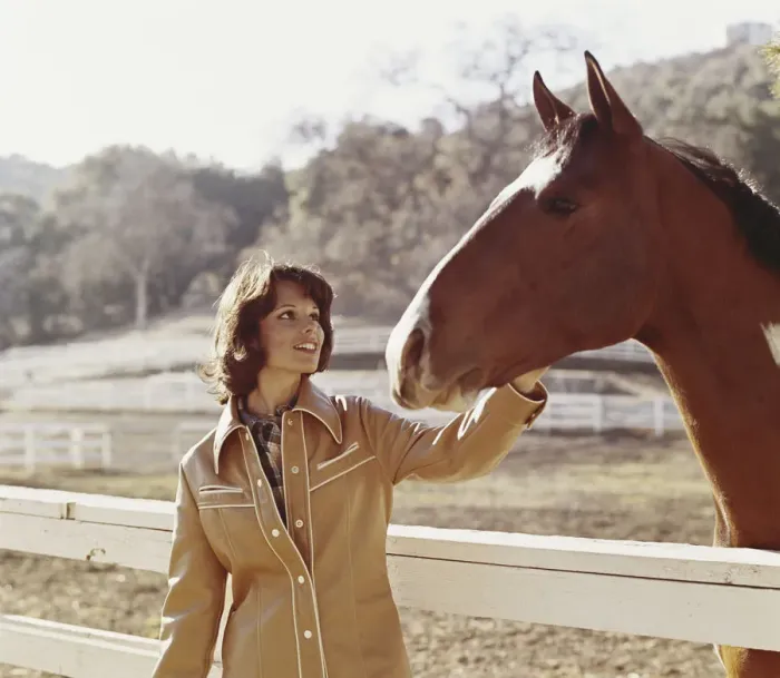 Framed Print : Woman stroking horse beside fence Framed Print : Woman stroking horse beside fence