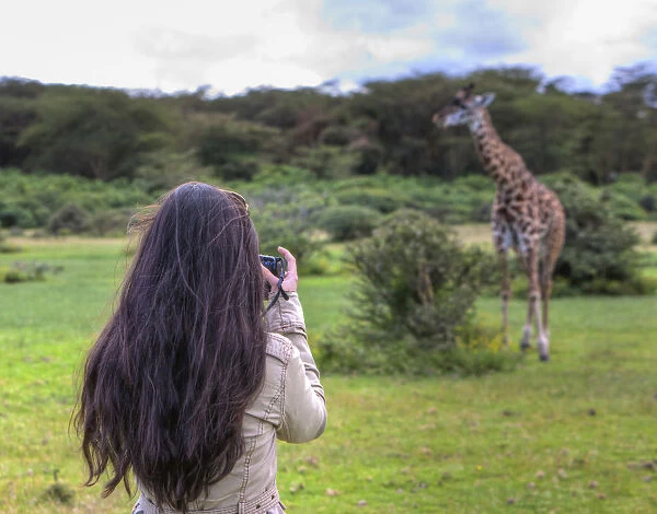 Woman taking picture of a Masai giraffe (Giraffa camelopardalis tippelskirchi), Lake Naivasha, Kenya