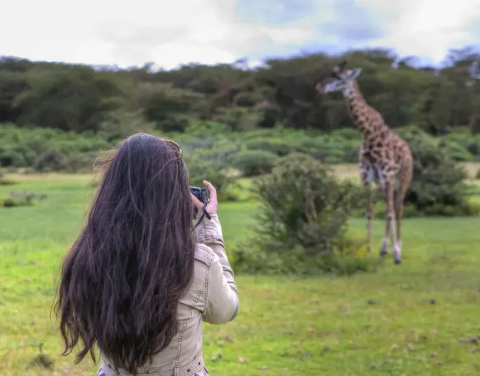 Framed Print : Woman taking picture of a Masai giraffe (Giraffa camelopardalis tippelskirchi), Lake Naivasha, Kenya Framed Print : Woman taking picture of a Masai giraffe (Giraffa camelopardalis tippelskirchi), Lake Naivasha, Kenya