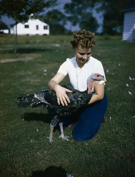 Framed Print : Woman with Thanksgiving Turkey on Lawn Framed Print : Woman with Thanksgiving Turkey on Lawn