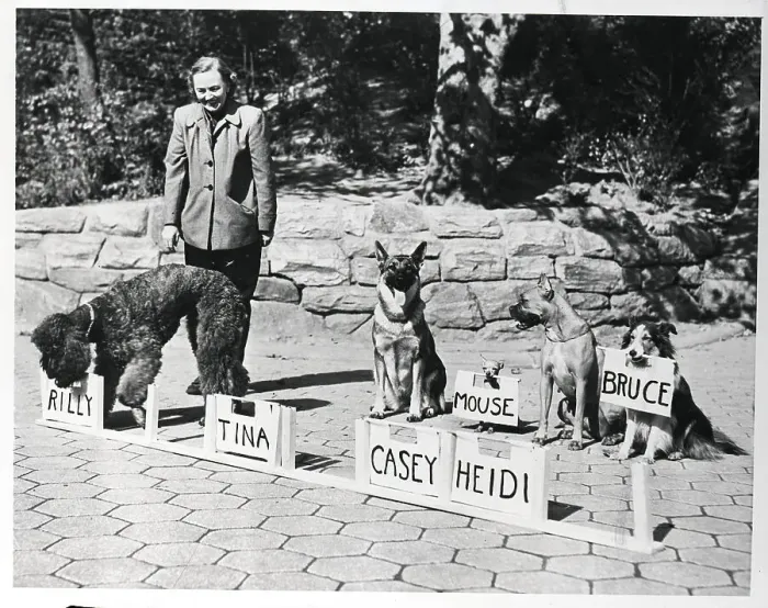 Framed Print : Woman Training Dogs To Find Name Plates
