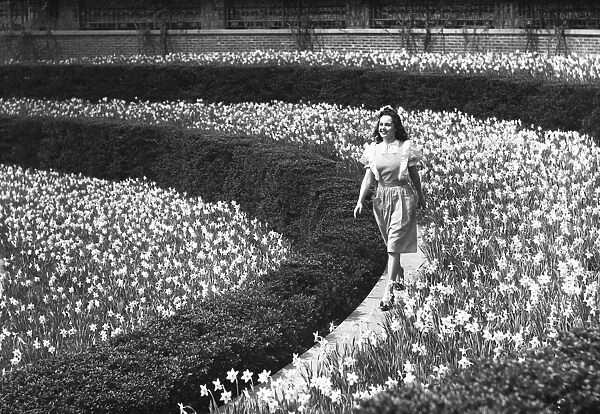 Woman walking on flowerbed, (B&W)