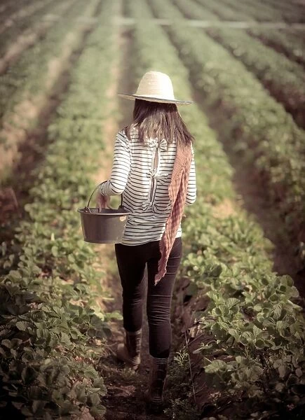 Woman walking in strawberry field
