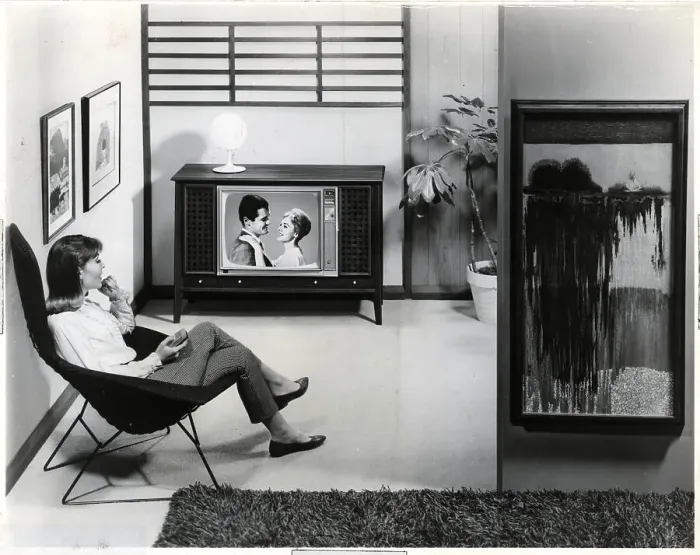 Framed Print : Woman Watching TV in Living Room Framed Print : Woman Watching TV in Living Room