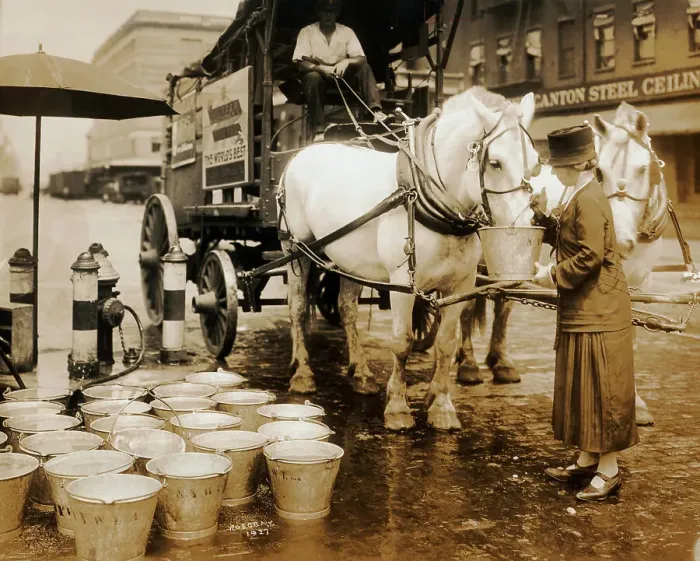 Framed Print : Woman Waters Horses from Fire Hydrant Framed Print : Woman Waters Horses from Fire Hydrant