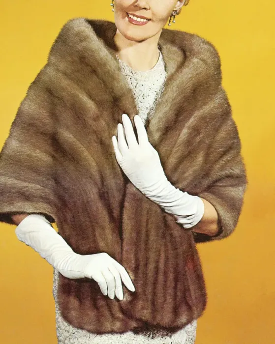 Framed Print : Woman Wearing a Fur Stole