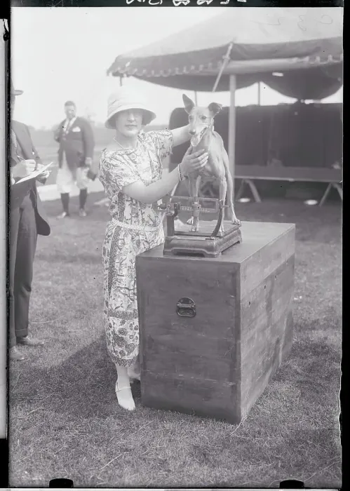 Framed Print : Woman Weighing Her Dog Framed Print : Woman Weighing Her Dog