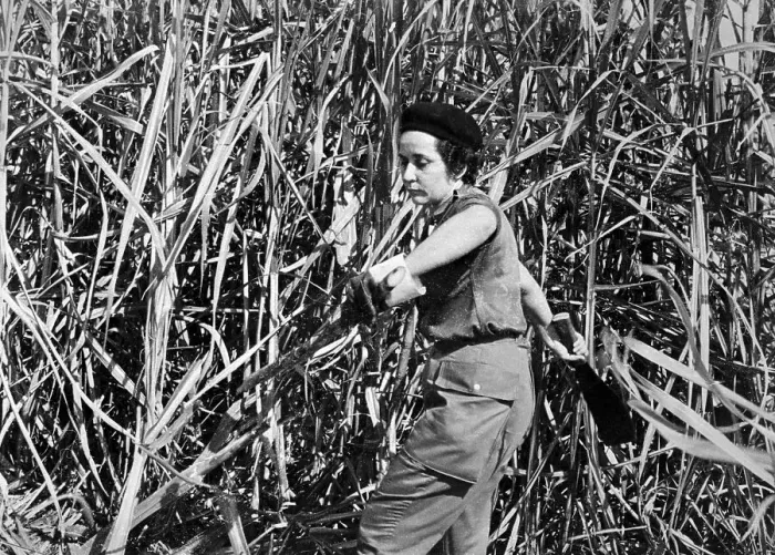 Framed Print : Woman Working in Field