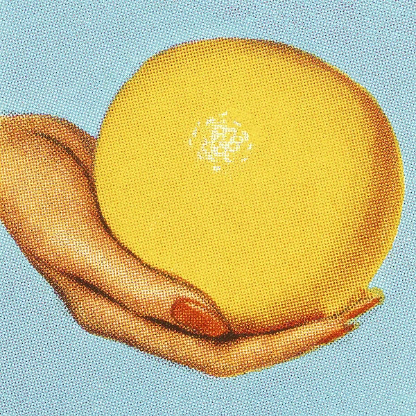 Womans Hand Holding a Grapefruit