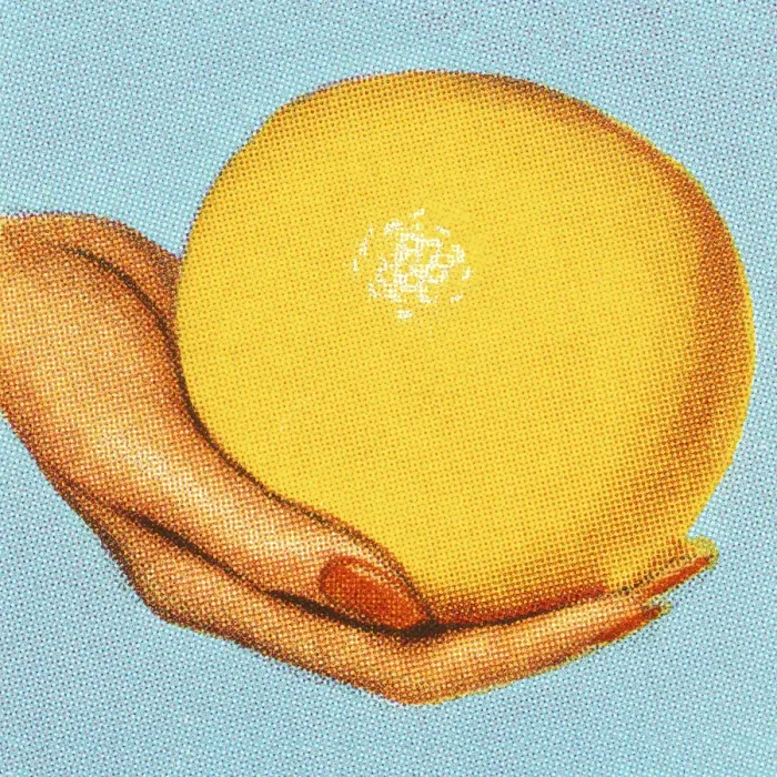 Framed Print : Womans Hand Holding a Grapefruit