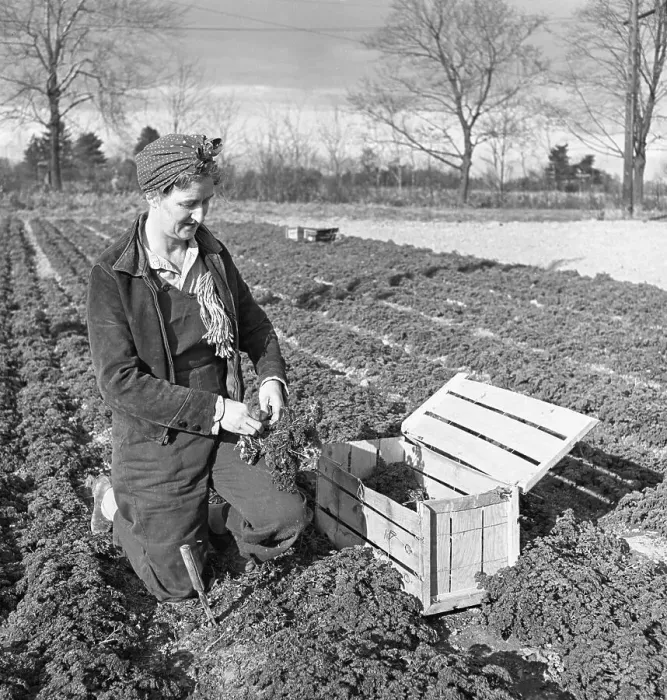 Framed Print : A Woman's Responsibilities on the Farm Framed Print : A Woman's Responsibilities on the Farm