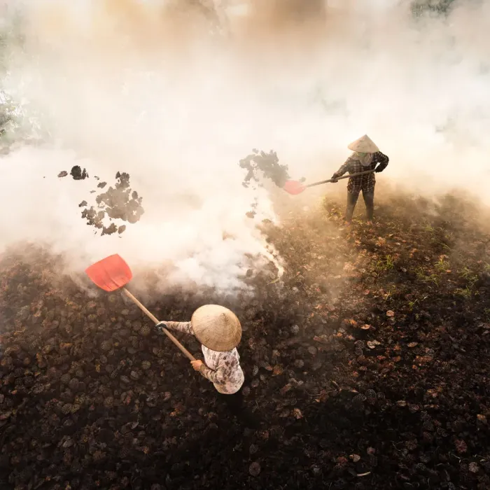 Framed Print : Women burning dry lotus after harvest in Ha Nam, Viet Nam, Indochina, Asia Framed Print : Women burning dry lotus after harvest in Ha Nam, Viet Nam, Indochina, Asia