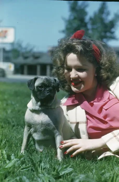 Women with Pug in Park Print circa 1940. Art Prints, Posters