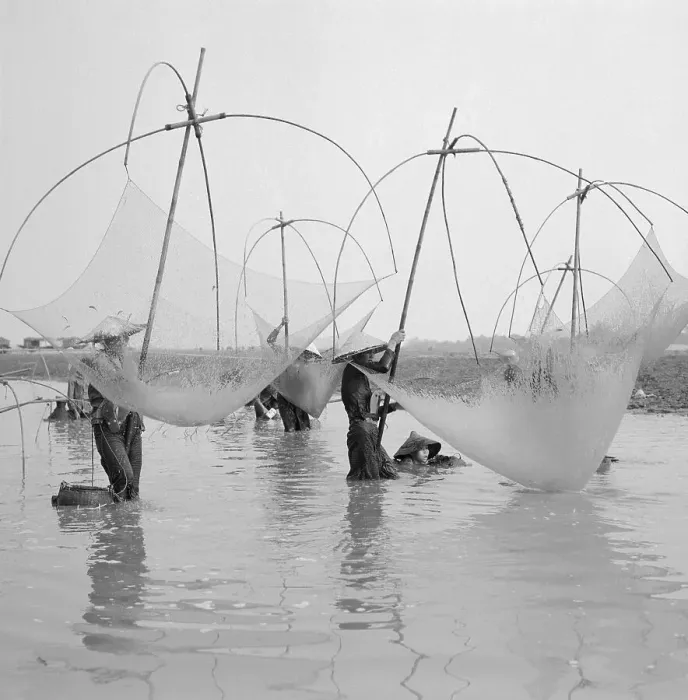 Framed Print : Women Fishing for Food Framed Print : Women Fishing for Food