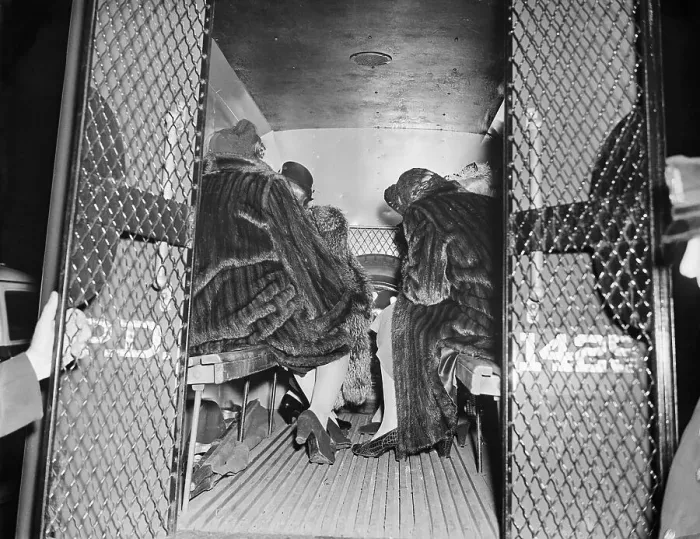 Framed Print : Women in Fur Coats in Police Van Framed Print : Women in Fur Coats in Police Van