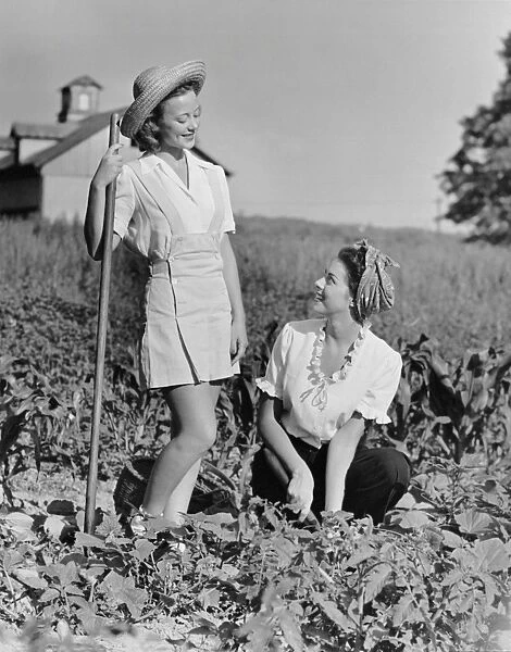 Two women gardening in field