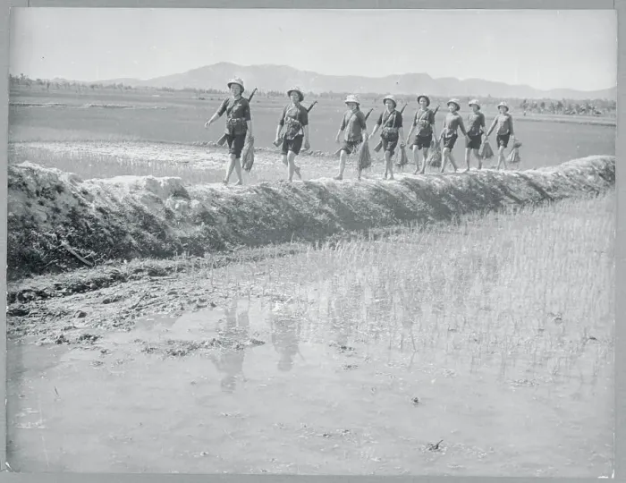 Framed Print : Women Marching to a Rice Paddy Framed Print : Women Marching to a Rice Paddy