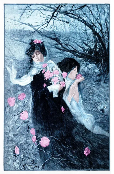 Framed Print : Two women with pink flowers in romantic winter scenery Framed Print : Two women with pink flowers in romantic winter scenery