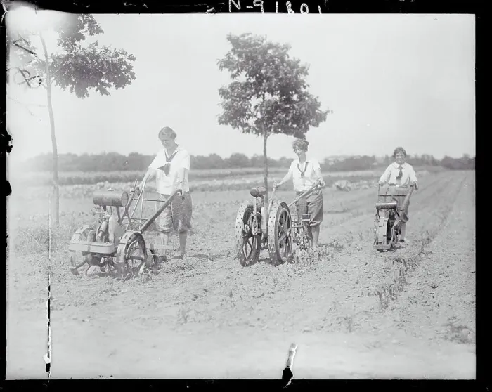 Framed Print : Women Ploughing a Field Framed Print : Women Ploughing a Field