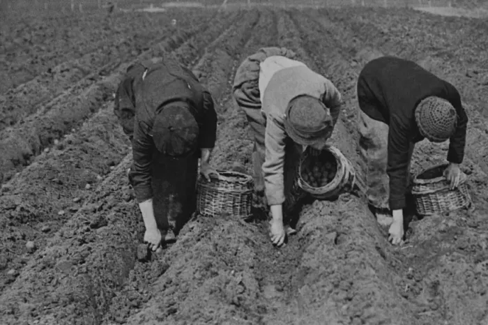 Framed Print : Women War Workers Framed Print : Women War Workers