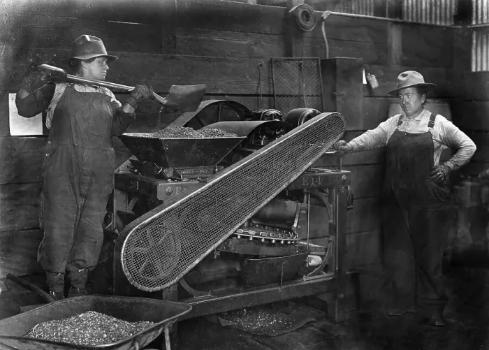 Framed Print : Women at Work Framed Print : Women at Work