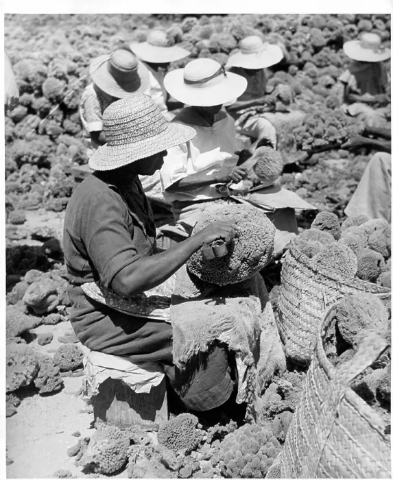Framed Print : Women At Work In Nassau, Bahamas Framed Print : Women At Work In Nassau, Bahamas