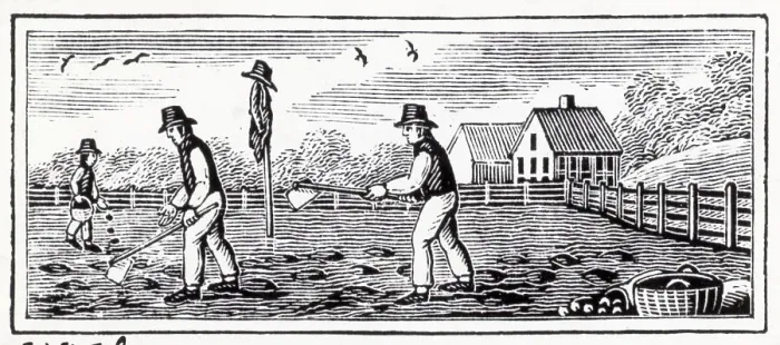 Framed Print : Woodcut Of Farmer Planting And Hoeing Framed Print : Woodcut Of Farmer Planting And Hoeing