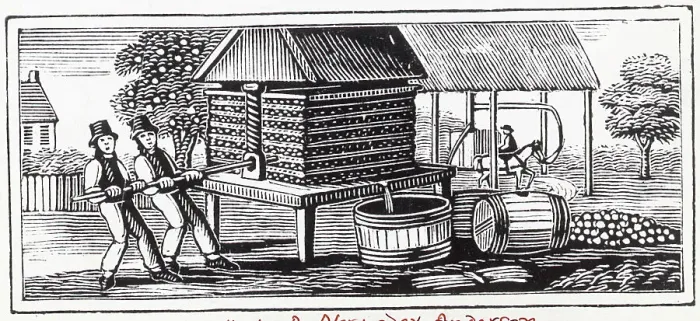 Framed Print : Woodcut Of Farmers Squeezing Fruit in Press Framed Print : Woodcut Of Farmers Squeezing Fruit in Press