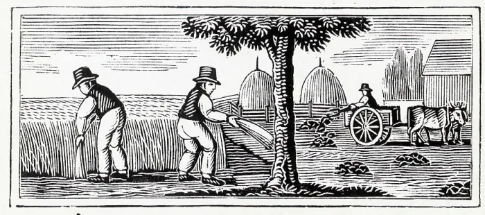 Framed Print : Woodcut Of Farmers Working W / Flax Framed Print : Woodcut Of Farmers Working W / Flax